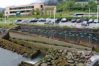 Lachsaufzuchtstation