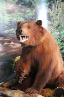 Im Besucherraum der Lachsaufzuchtstation