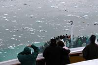 Am Hubbard Gletscher