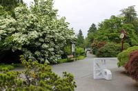 Queen Elizabeth Park in Vancouver