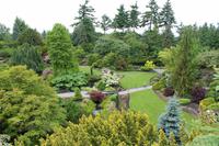 Queen Elizabeth Park in Vancouver