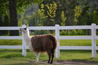 South Thompson Inn & Guest Ranch in Kamloops