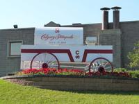 Calgary Stamped Gelände