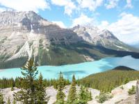 Peyto Lake auf dem Icefields Parkway
