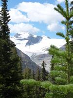 Columbia Icefield