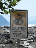 Achtung! Klapperschlange