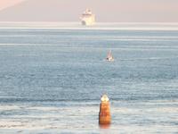 die Anderen holen auf...