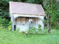 Indianergrab in Hoonah - Alaska