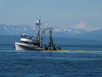 Fischfang in Alaska