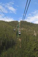 Sulphur Mountain
