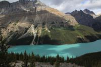 Peyto Lake