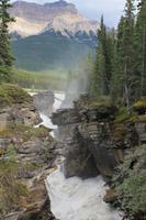 Athabasca Falls
