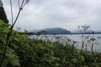 Fahrt mit der Waldbahn