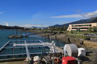 Lachsaufzuchtstaion Juneau