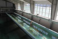 Lachsaufzuchtstaion Juneau