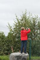 Aussichtspunkt Anchorage