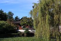 Vancouver, Chinatown