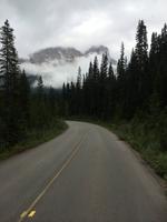 110 Banff Nationalpark