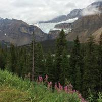 129 Kraehenfussgletscher