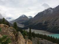 133 Peyto-Gletscher