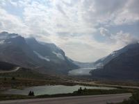 136 Athabaska-Gletscher