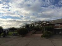 240 Abschied von der Ranch