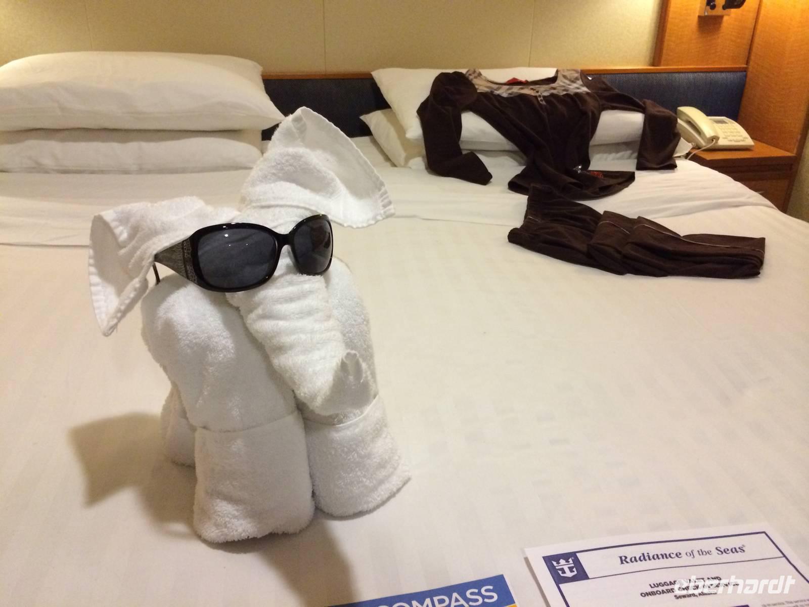 369 Radiance of the Seas