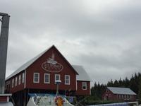 390 Icy Straight Point