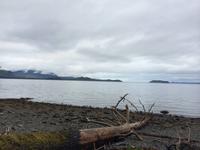 391 Icy Straight Point