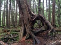 405 Icy Straight Point