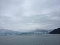 481 Hubbert Gletscher