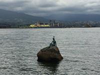 536 Girl in Wetsuite