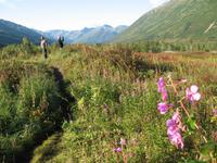 Alaska - von Seward nach Anchorage