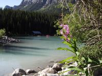 Am Lake Louise