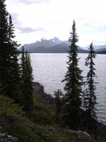 Am Maligne Lake