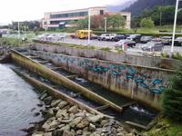An der Lachsaufzuchtstation in Juneau