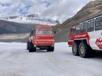 Athabasca Gletscher