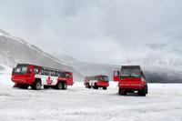 Athabasca-Gletscher