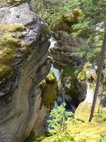 Athabaska-Falls