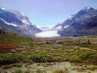 Blick auf den Athabasca-Gletscher