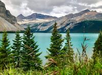 Bow Lake