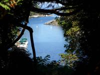Butchart Garden