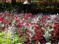 Butchart Gardens