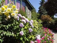 Butchart Gardens