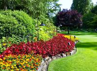 Butchart Gardens