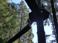 Capilano 