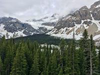 Crawfoot Gletscher