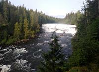 Dawson Falls