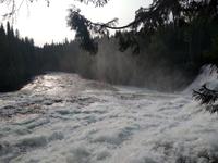 Dawson Falls