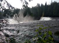 Dawson Falls